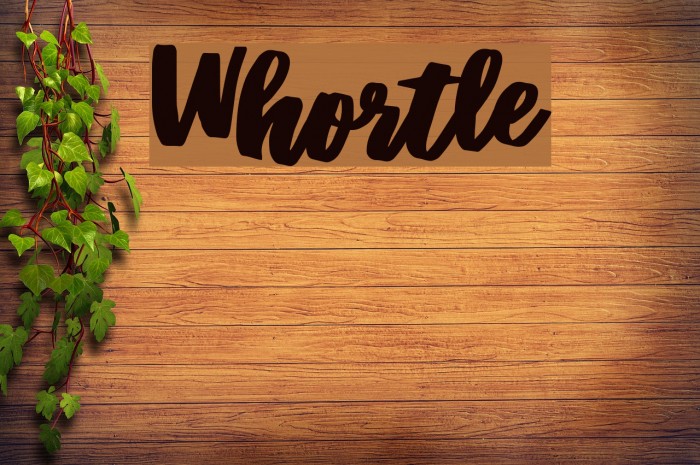 Whortle Font examples