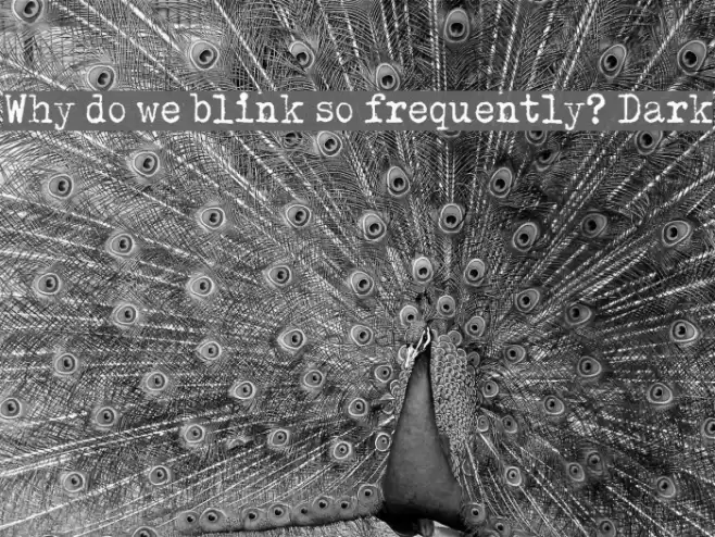 Why do we blink so frequently? Dark Schriftart examples