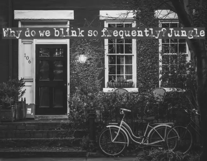 Why do we blink so frequently? Jungle Fonte examples