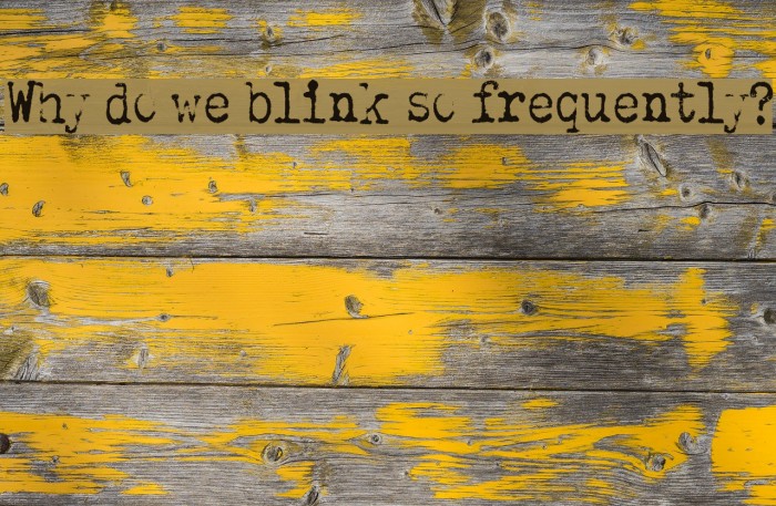 Why do we blink so frequently? Font examples