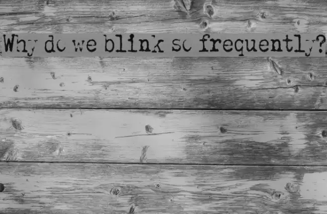 Why do we blink so frequently? Schriftart examples