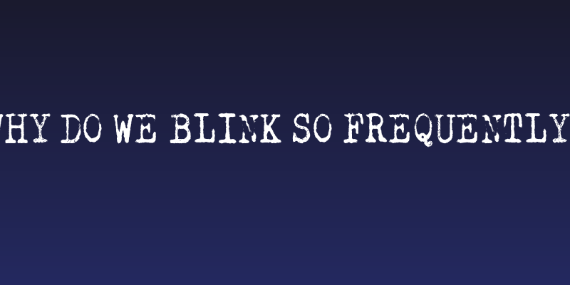 Why do we blink so frequently? Social Header