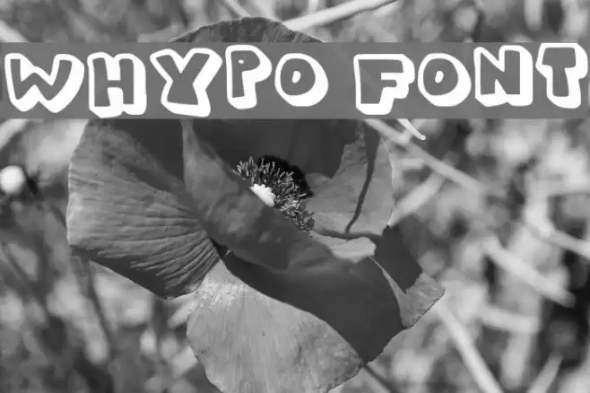 Whypo Font examples