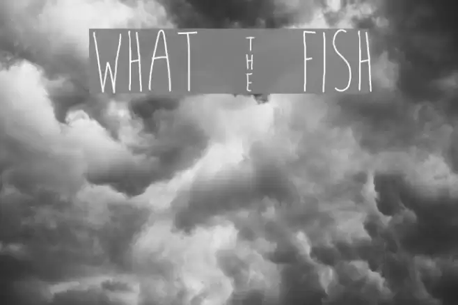 what ~ fish Font examples