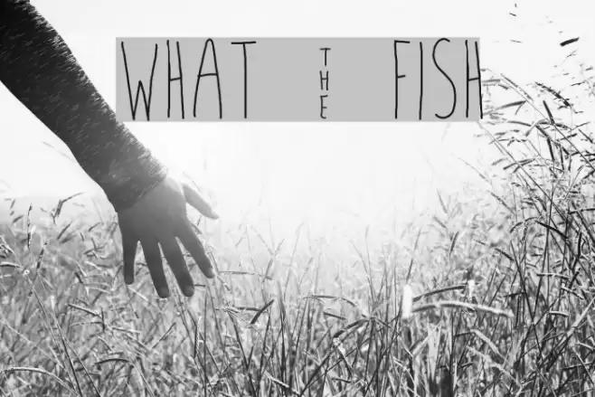 what ~ fish Font examples