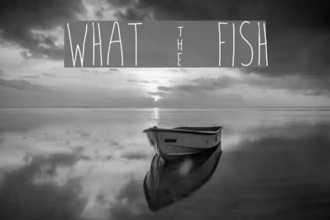 what ~ fish Font examples