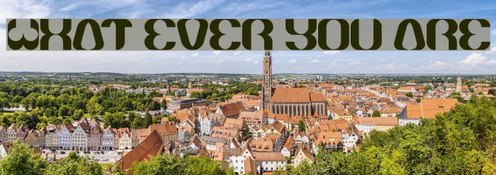 what ever you are Example 2