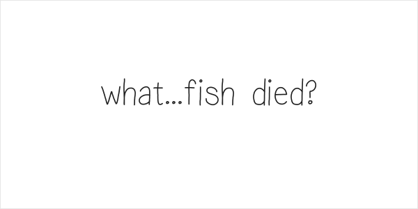 what...fish died? Logo