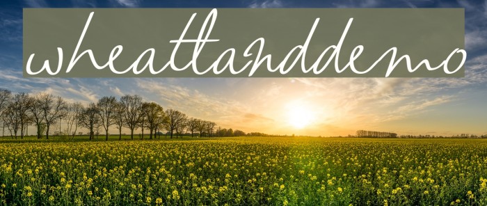 wheatland-demo Font examples