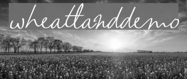 wheatland-demo خط examples