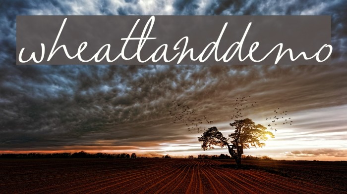 wheatland-demo Font examples
