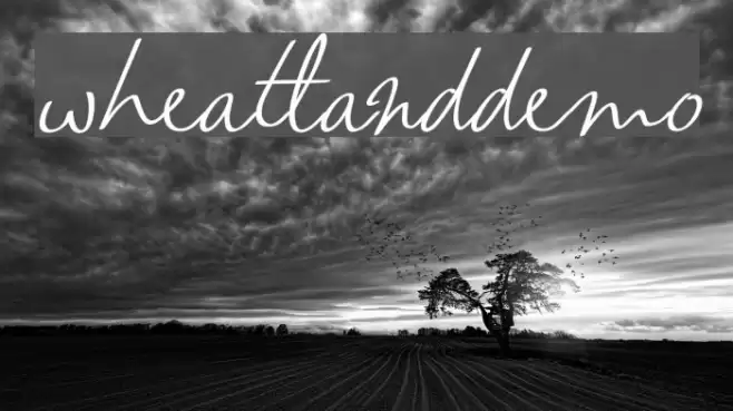 wheatland-demo خط examples