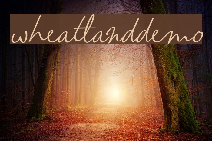 wheatland-demo Font examples