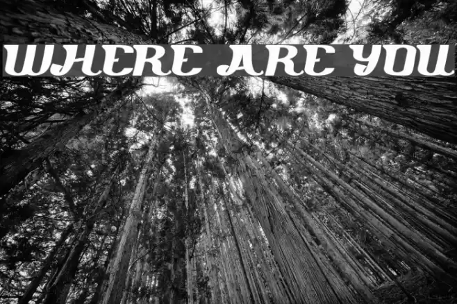 where are you Font examples
