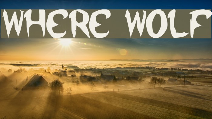 where wolf Font examples