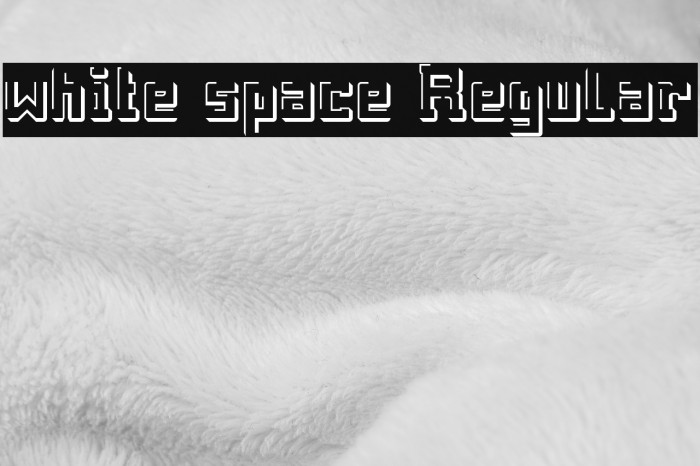 white space Regular Font examples