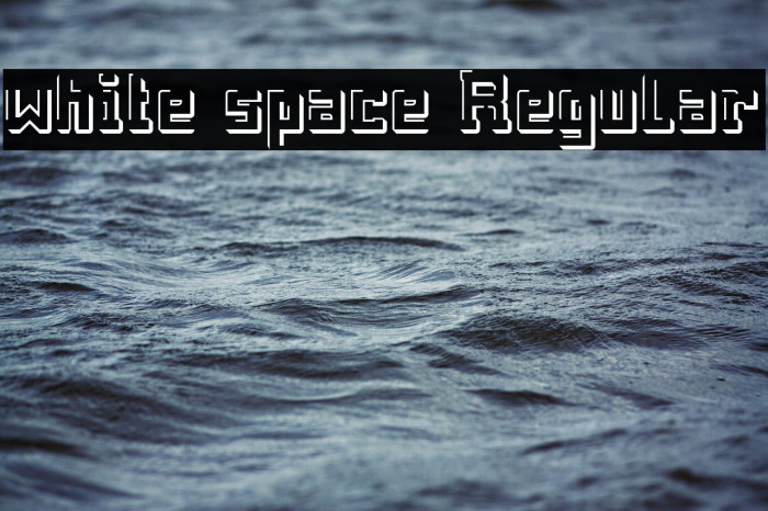 white space Regular Font examples