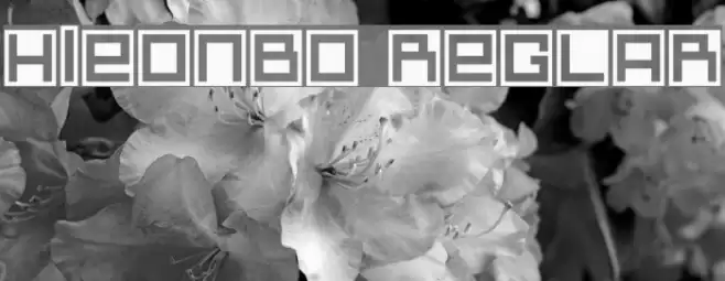 whiteonbox Regular Шрифта examples