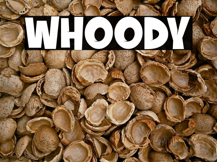 whoody Fonte examples
