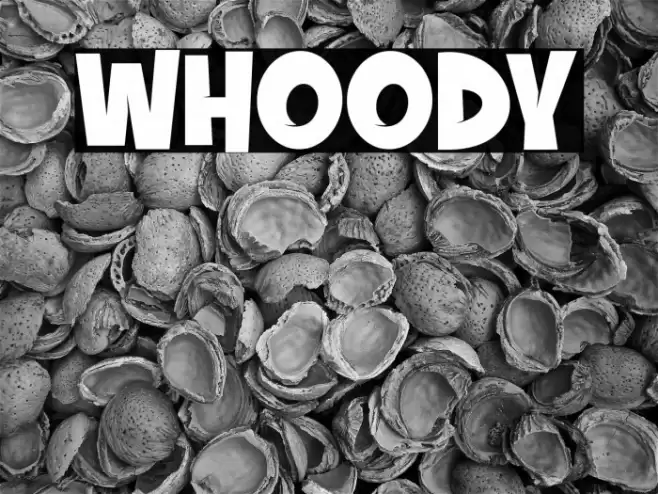 whoody Font examples