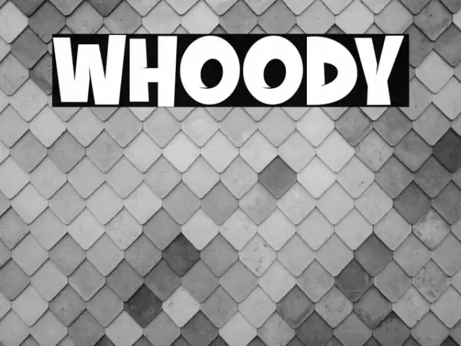 whoody Font examples