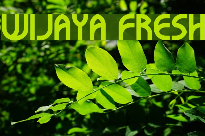 WIJAYA FRESH Font examples