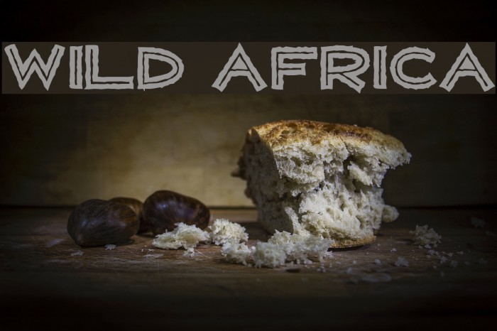 WILD AFRICA Font examples