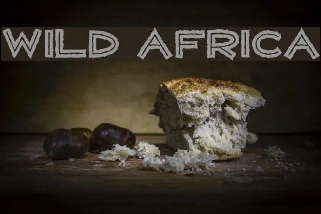 WILD AFRICA Example 2