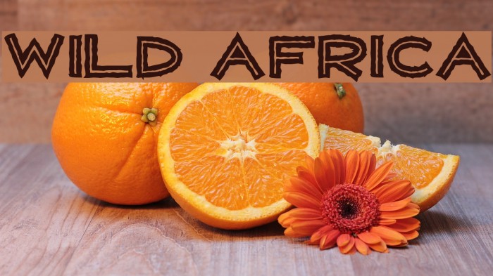 WILD AFRICA Font examples
