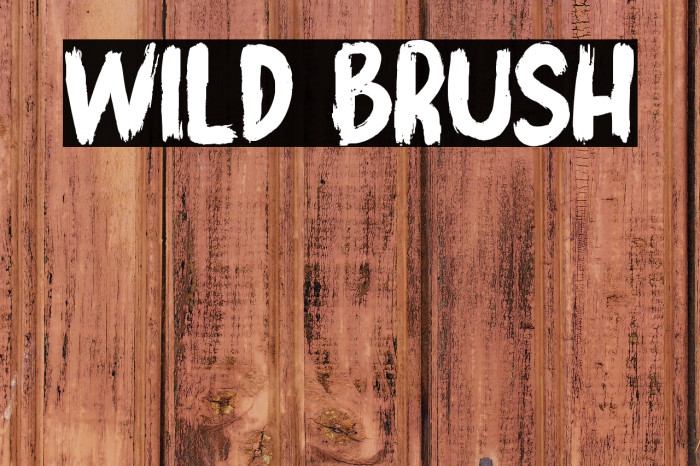 WILD BRUSH Example 1