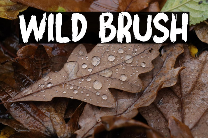 WILD BRUSH Example 3