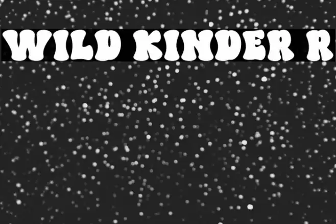 WILD KINDER Regular 字体 examples