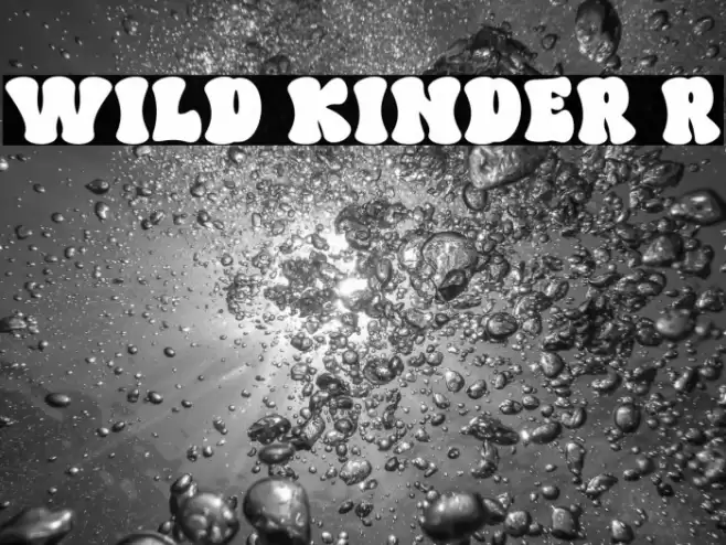 WILD KINDER Regular 字体 examples