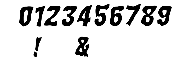 WILD2 Ghixm NC Bold Italic Font OTHER CHARS
