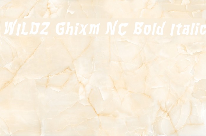 WILD2 Ghixm NC Bold Italic Font examples