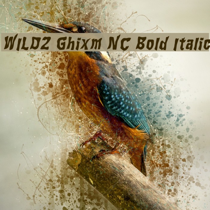 WILD2 Ghixm NC Bold Italic Font examples