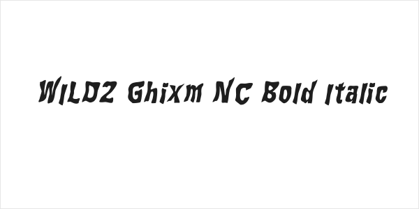 WILD2 Ghixm NC Bold Italic Logo