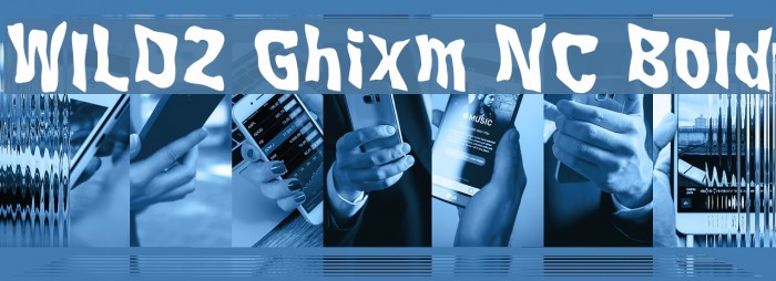 WILD2 Ghixm NC Bold Example 1