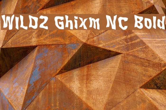 WILD2 Ghixm NC Bold Example 2