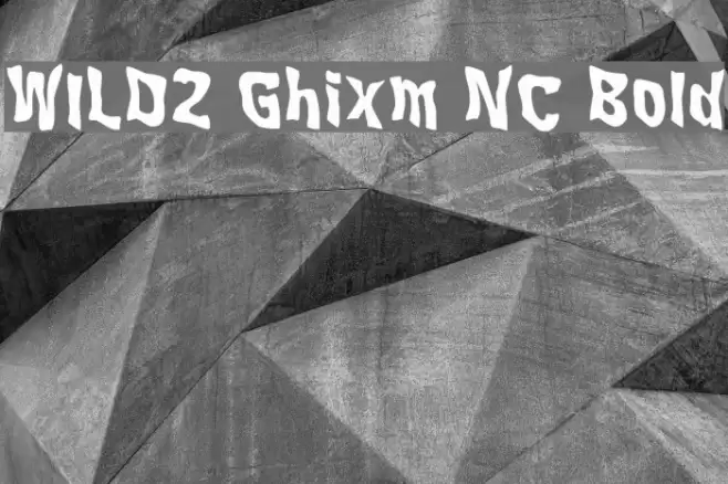 WILD2 Ghixm NC Bold Font examples
