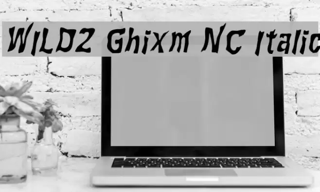 WILD2 Ghixm NC Italic Font examples