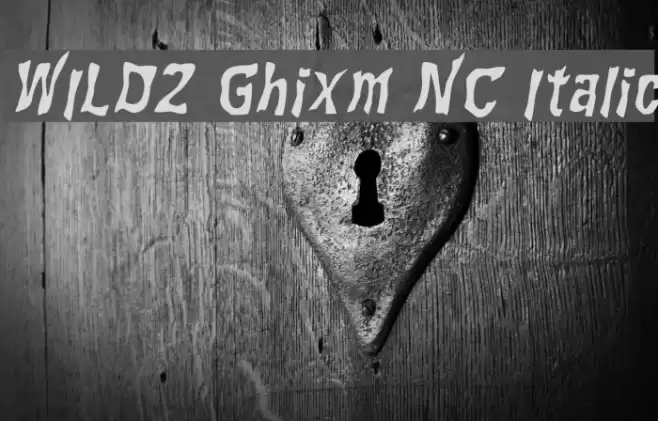 WILD2 Ghixm NC Italic Font examples