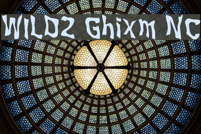 WILD2 Ghixm NC Font examples