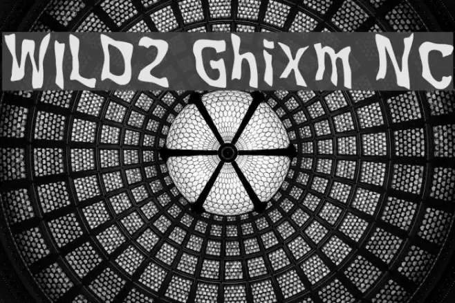 WILD2 Ghixm NC Font examples