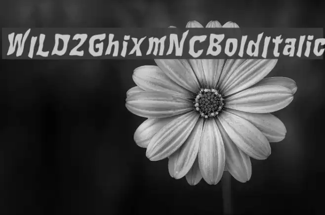 WILD2GhixmNC-BoldItalic Font examples