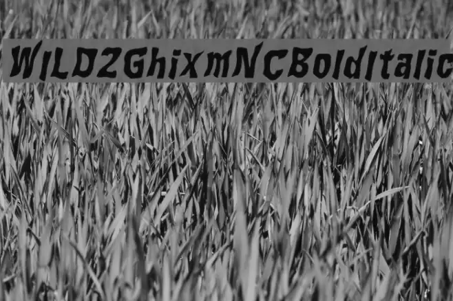 WILD2GhixmNC-BoldItalic Font examples