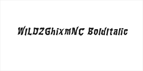 WILD2GhixmNC-BoldItalic Logo