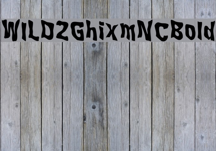 WILD2GhixmNC-Bold Font examples