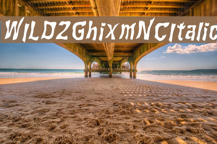 WILD2GhixmNC-Italic Font examples