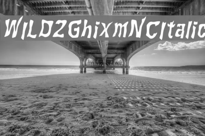 WILD2GhixmNC-Italic Font examples